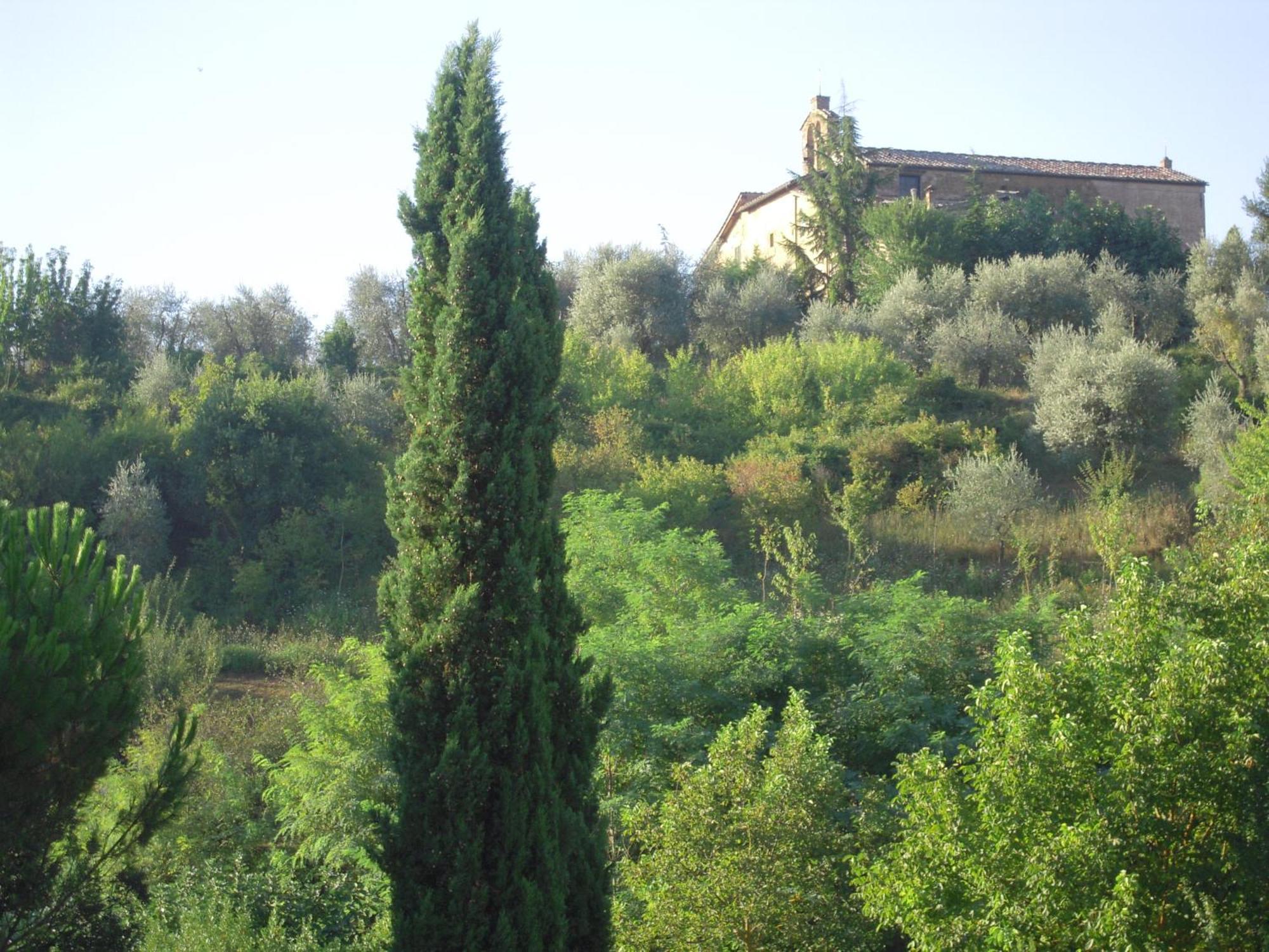 Villa Caprera Siena Room photo